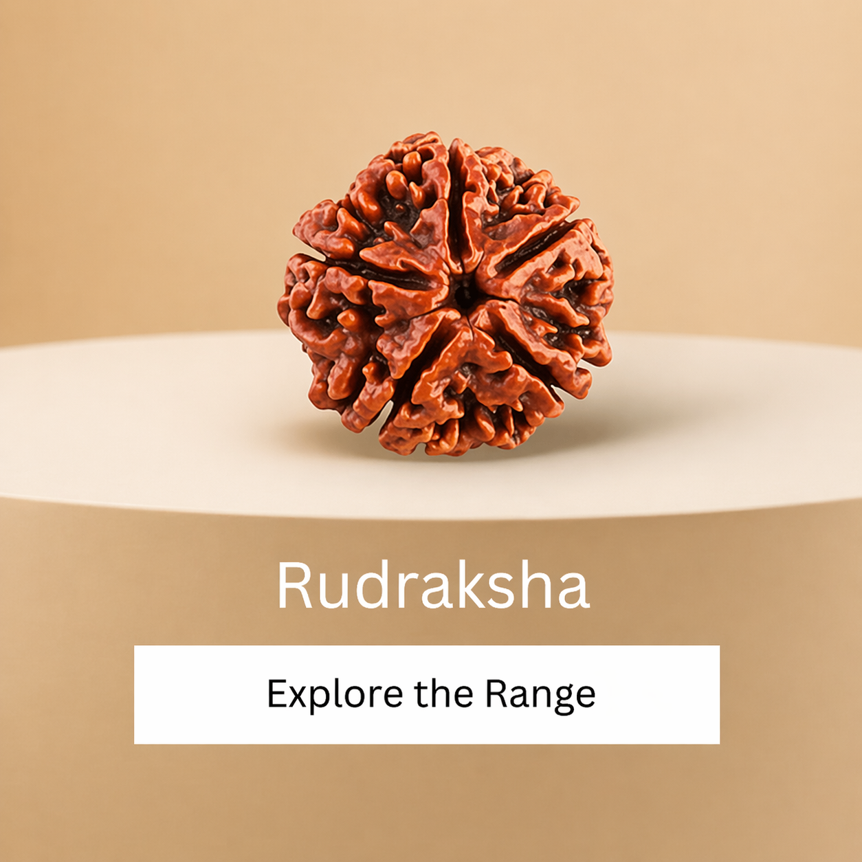 Signature Collection